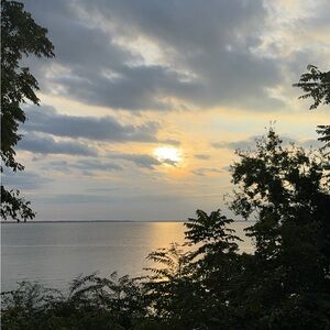 Meet your Posher, Dilvin